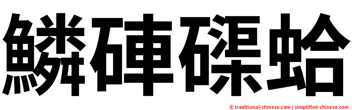 鱗硨磲蛤