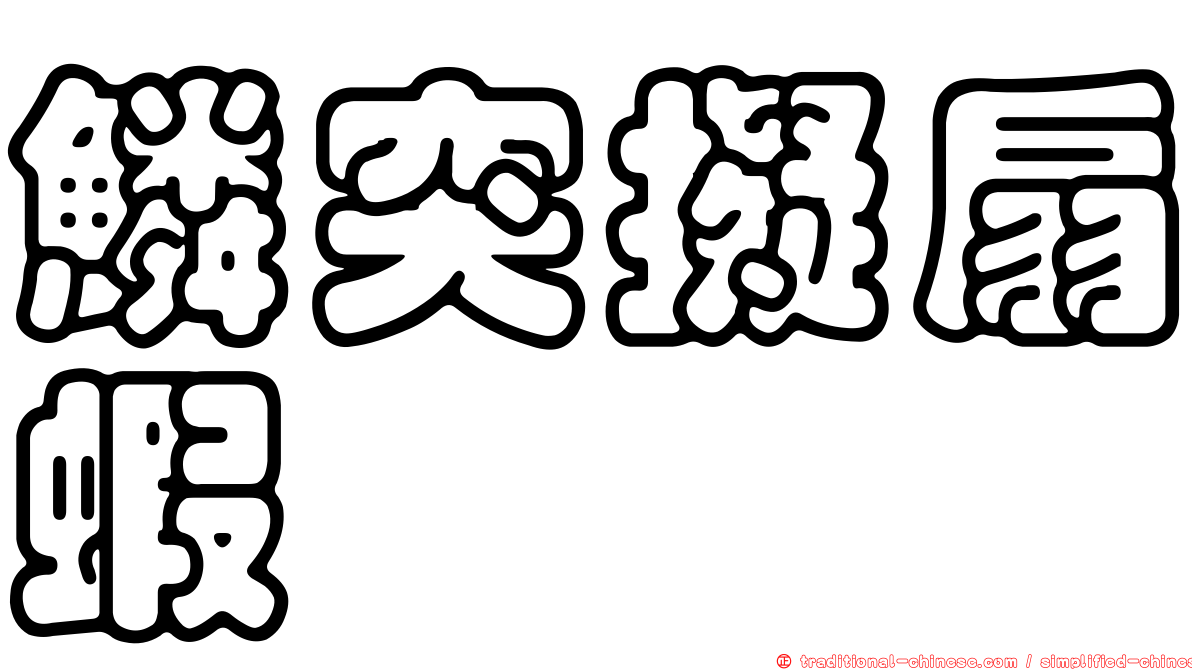 鱗突擬扇蝦