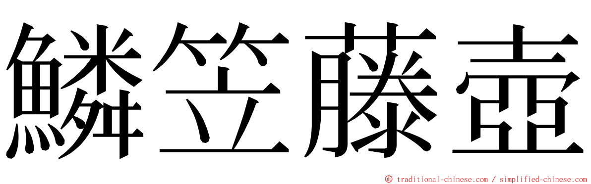 鱗笠藤壺 ming font