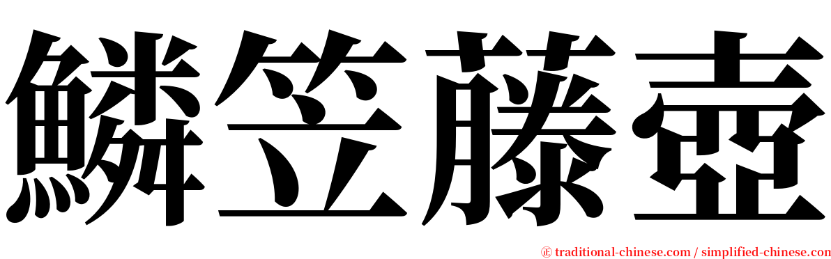 鱗笠藤壺 serif font