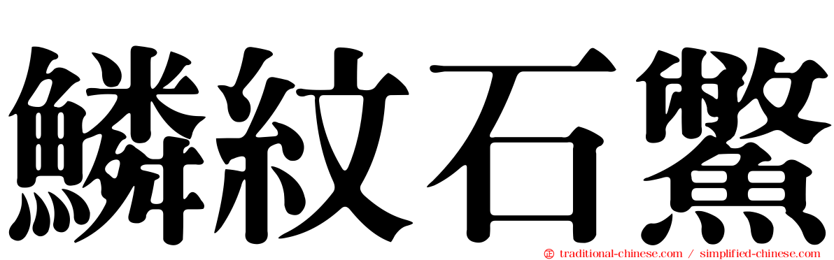 鱗紋石鱉