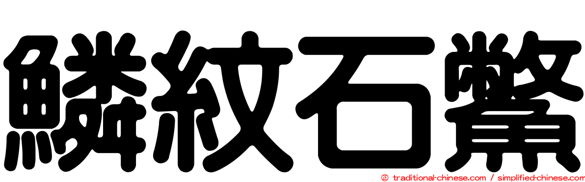 鱗紋石鱉