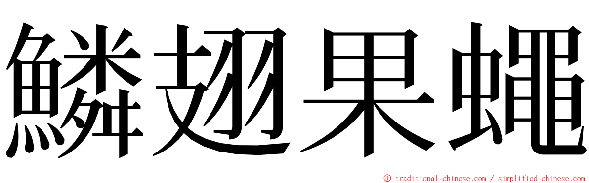 鱗翅果蠅 ming font