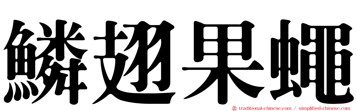 鱗翅果蠅