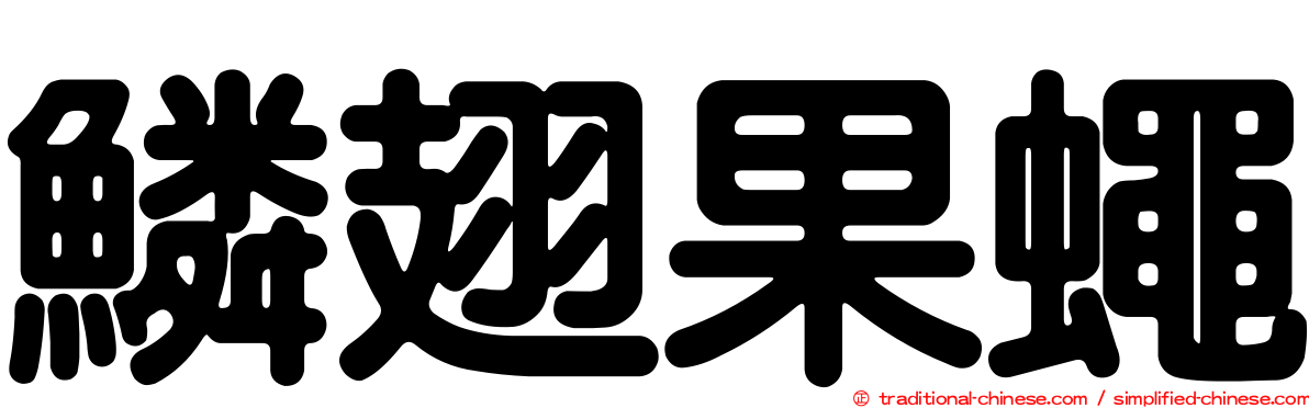 鱗翅果蠅