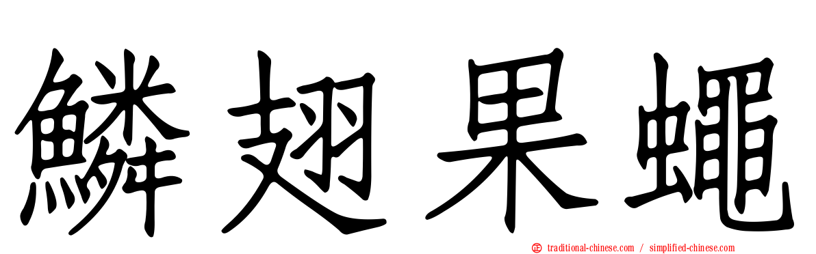 鱗翅果蠅