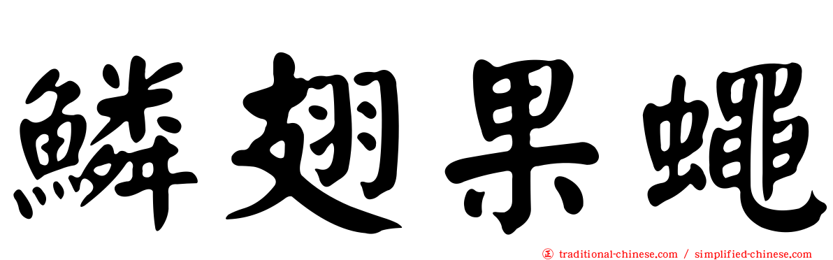 鱗翅果蠅