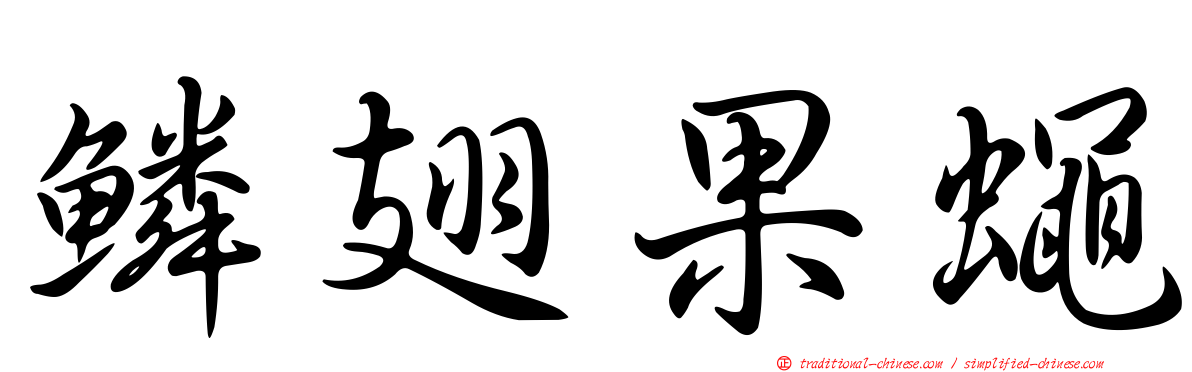 鱗翅果蠅