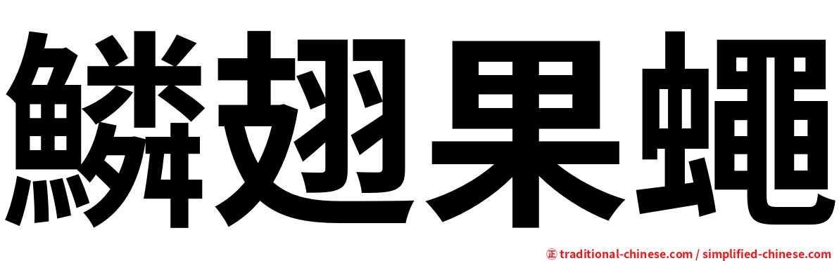 鱗翅果蠅
