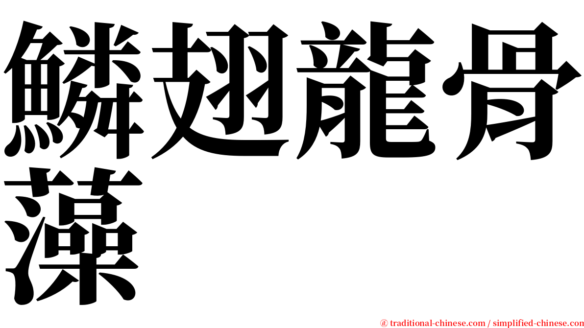 鱗翅龍骨藻 serif font