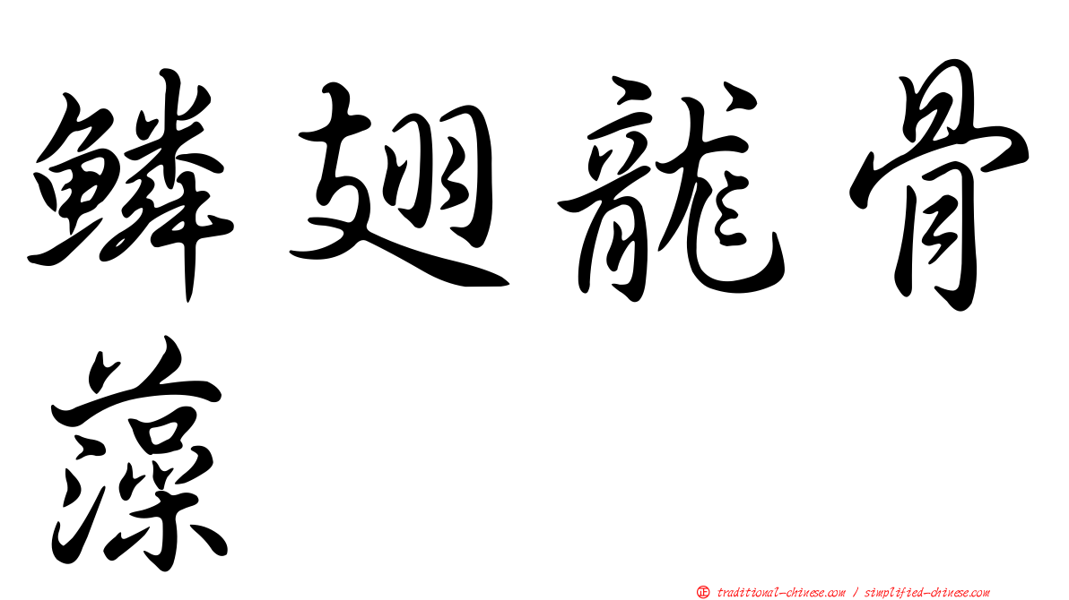 鱗翅龍骨藻