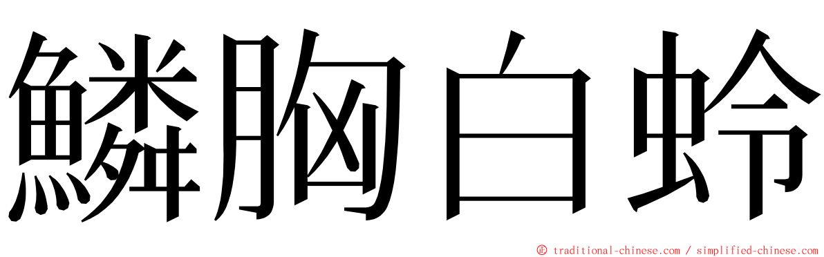 鱗胸白蛉 ming font