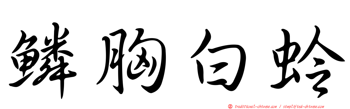 鱗胸白蛉
