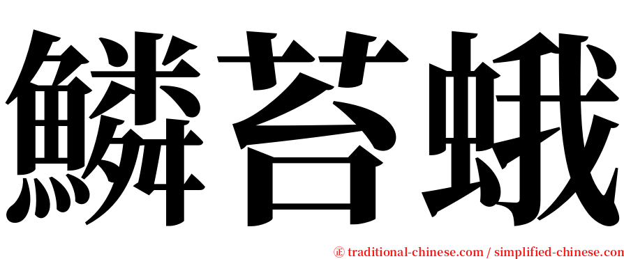 鱗苔蛾 serif font