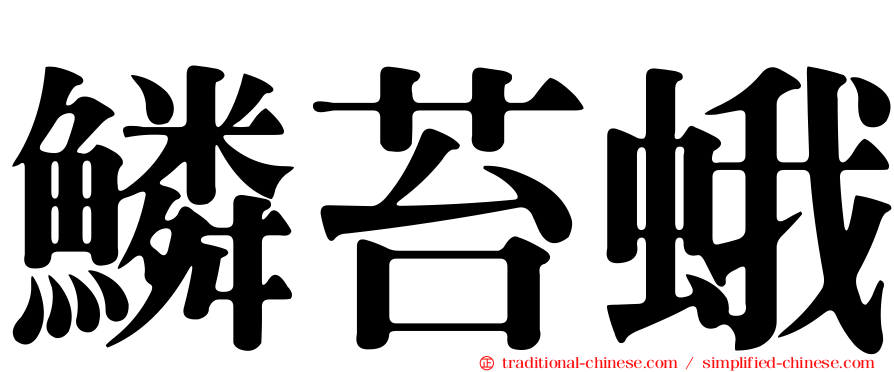 鱗苔蛾