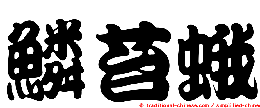 鱗苔蛾