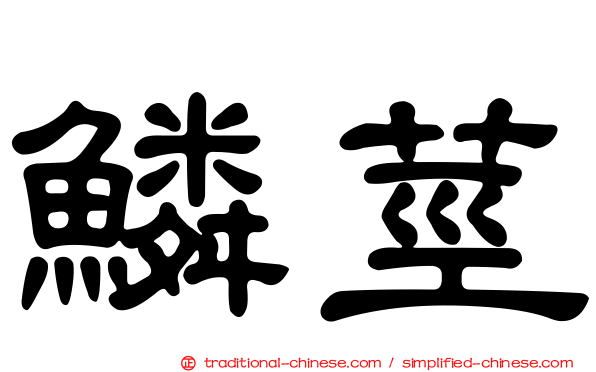 鱗莖