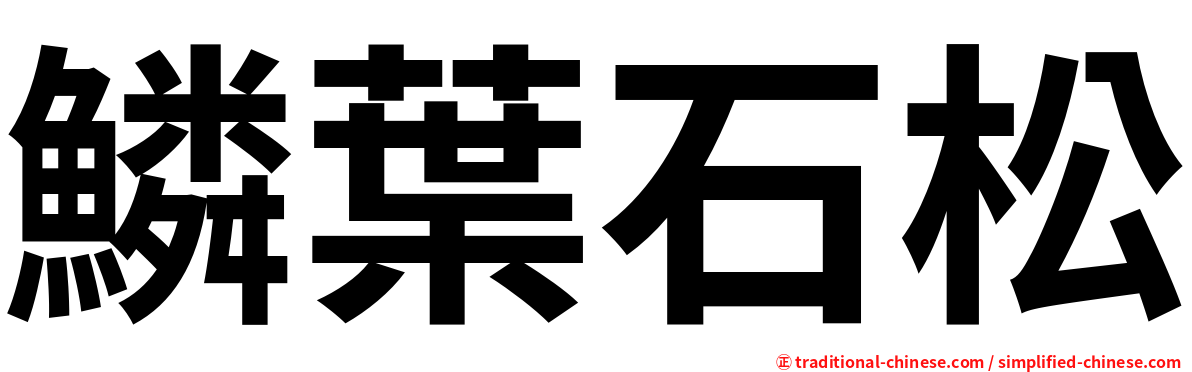 鱗葉石松