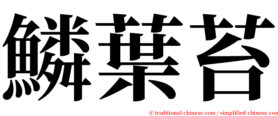 鱗葉苔 serif font