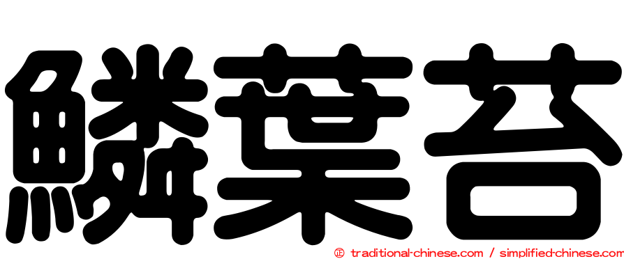 鱗葉苔