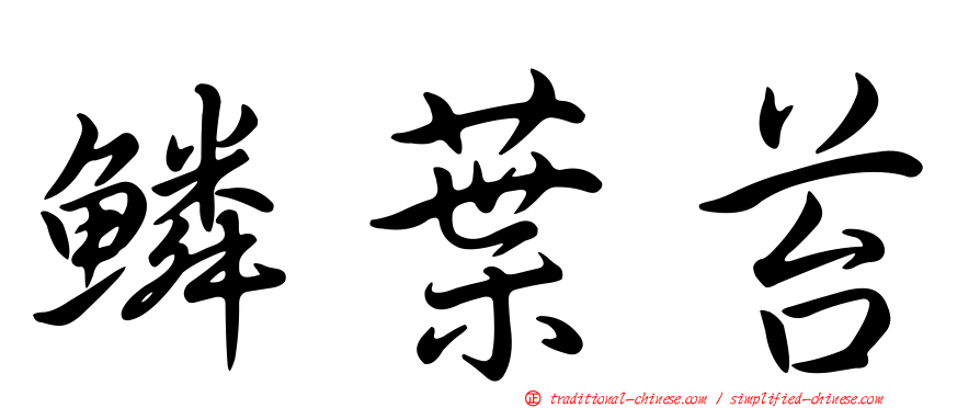 鱗葉苔