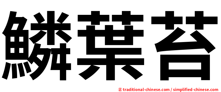 鱗葉苔