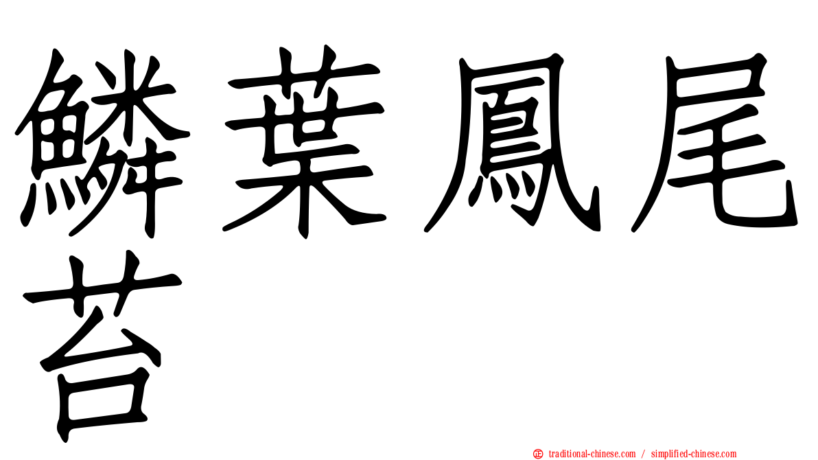 鱗葉鳳尾苔