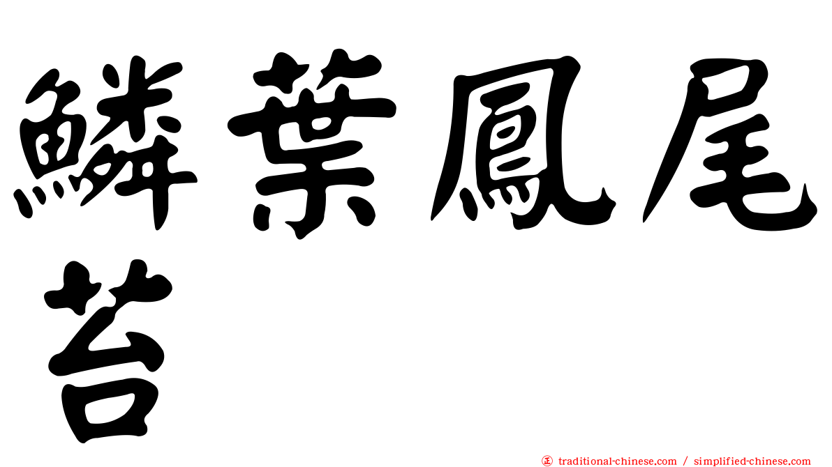 鱗葉鳳尾苔