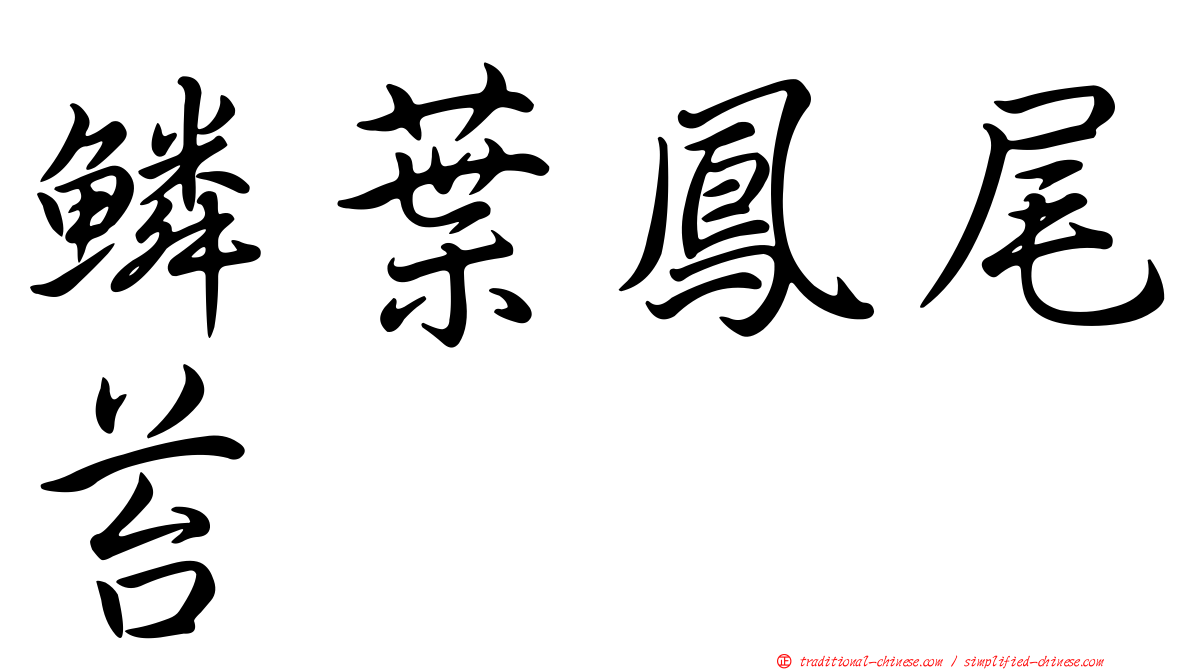 鱗葉鳳尾苔