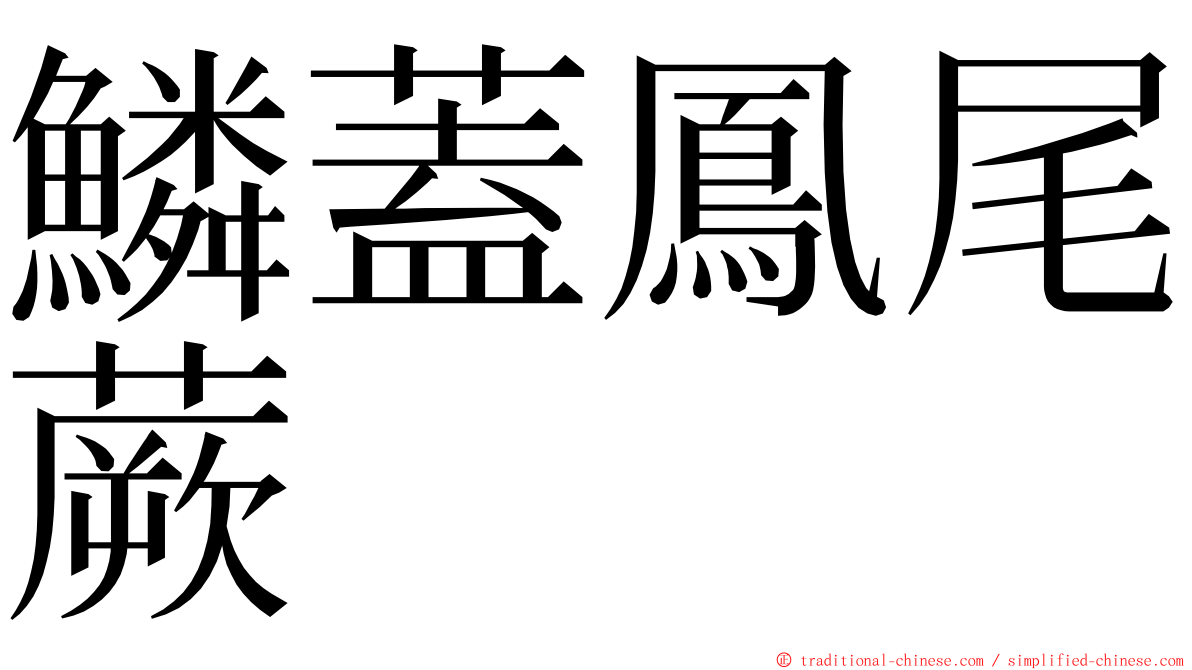 鱗蓋鳳尾蕨 ming font
