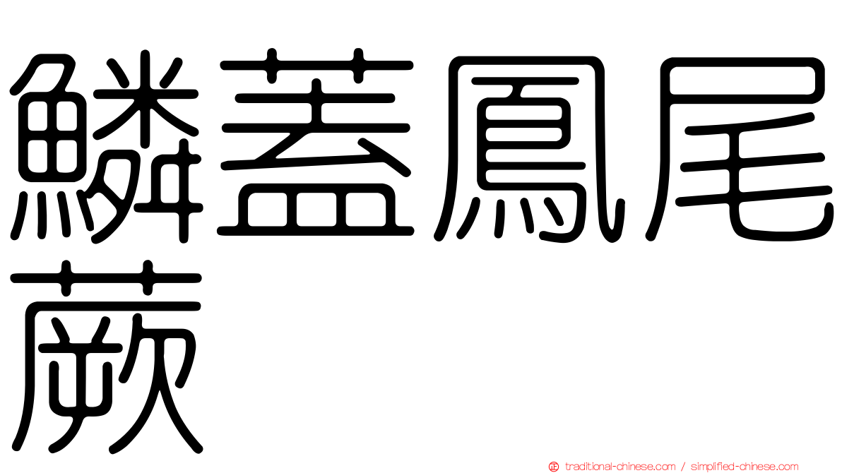 鱗蓋鳳尾蕨