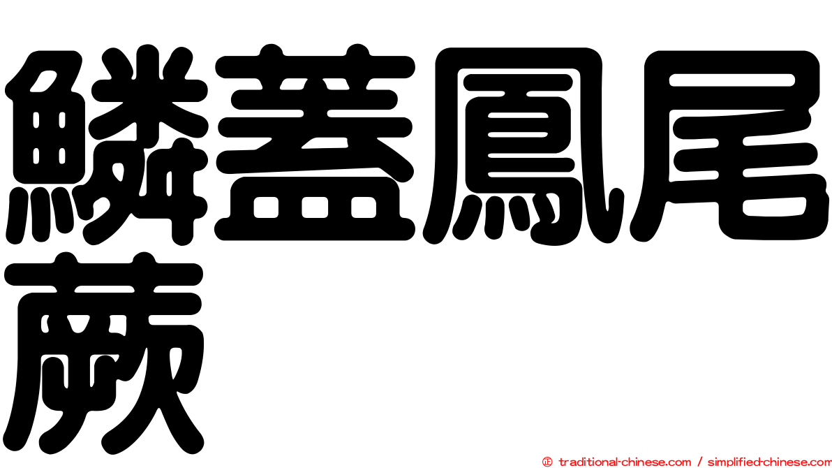 鱗蓋鳳尾蕨