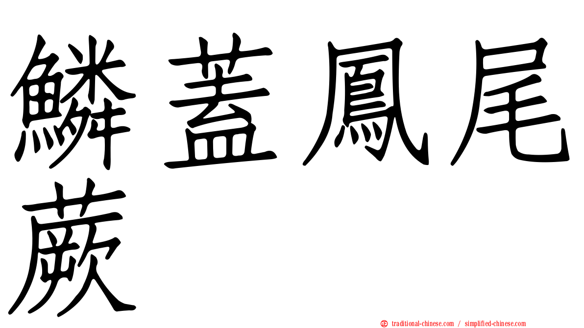 鱗蓋鳳尾蕨