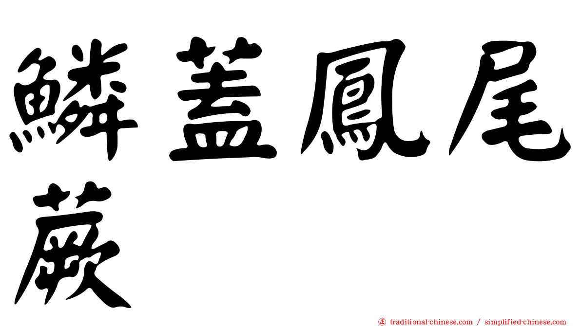 鱗蓋鳳尾蕨
