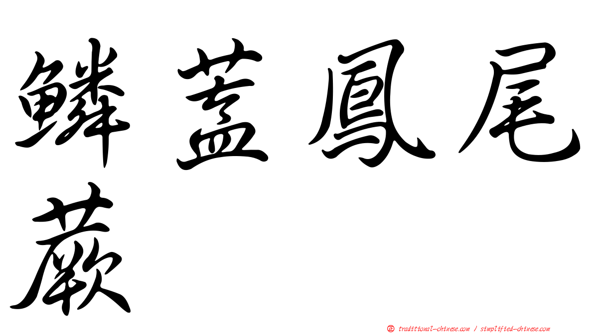 鱗蓋鳳尾蕨