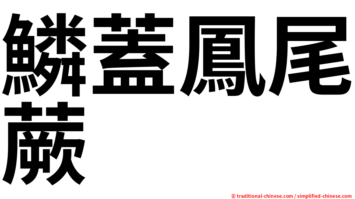 鱗蓋鳳尾蕨