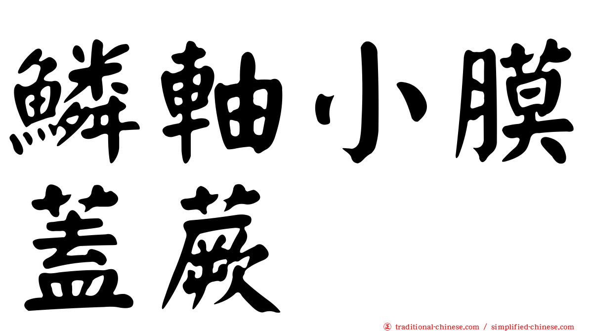 鱗軸小膜蓋蕨
