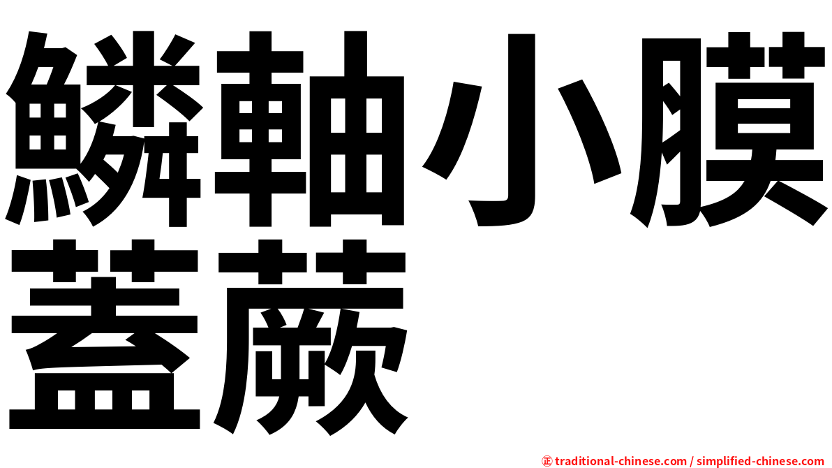 鱗軸小膜蓋蕨