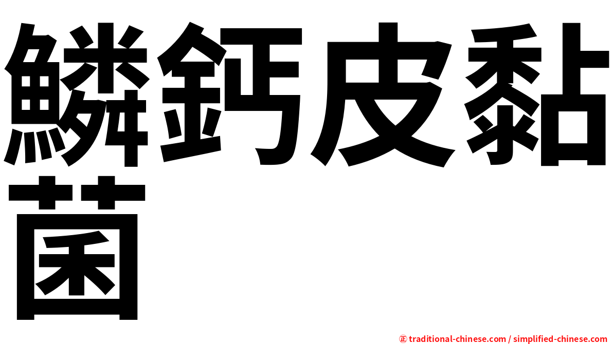 鱗鈣皮黏菌
