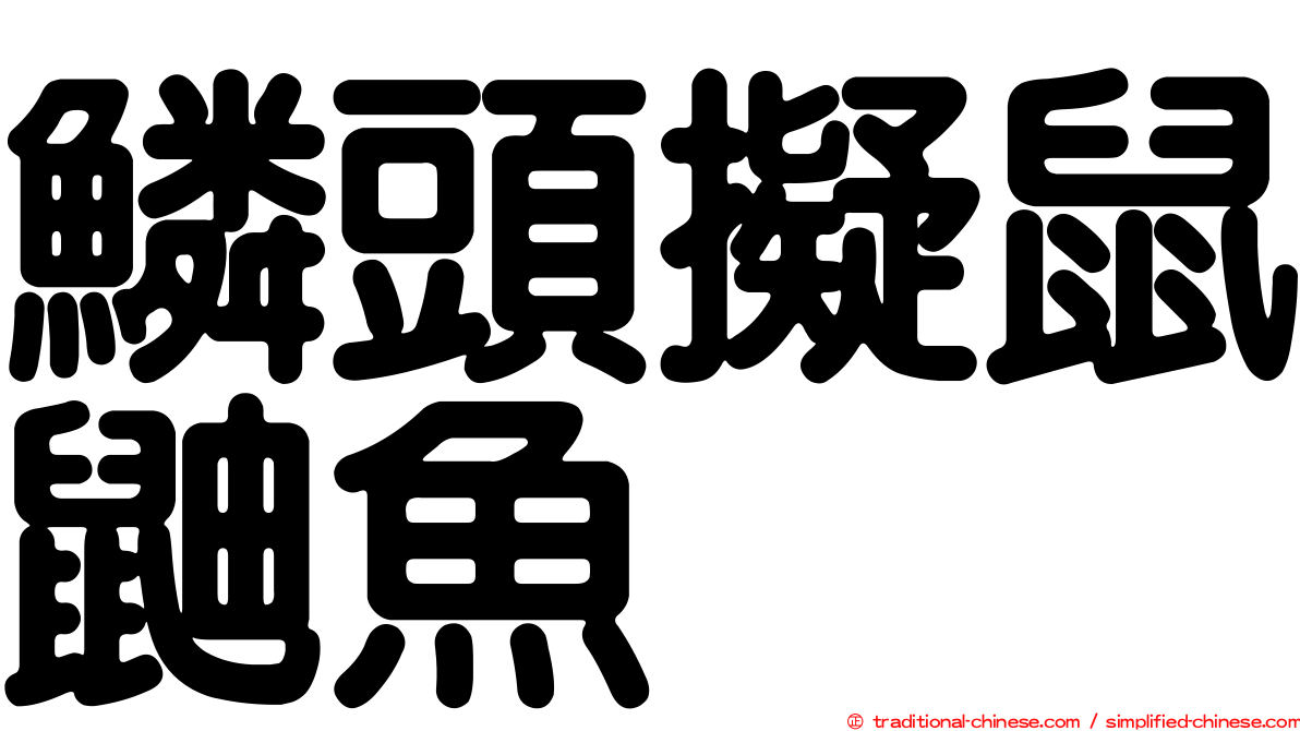 鱗頭擬鼠鼬魚