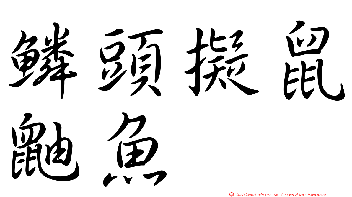 鱗頭擬鼠鼬魚