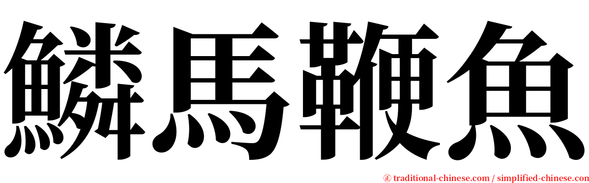 鱗馬鞭魚 serif font
