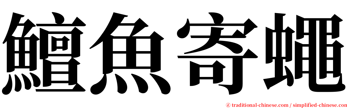 鱣魚寄蠅 serif font
