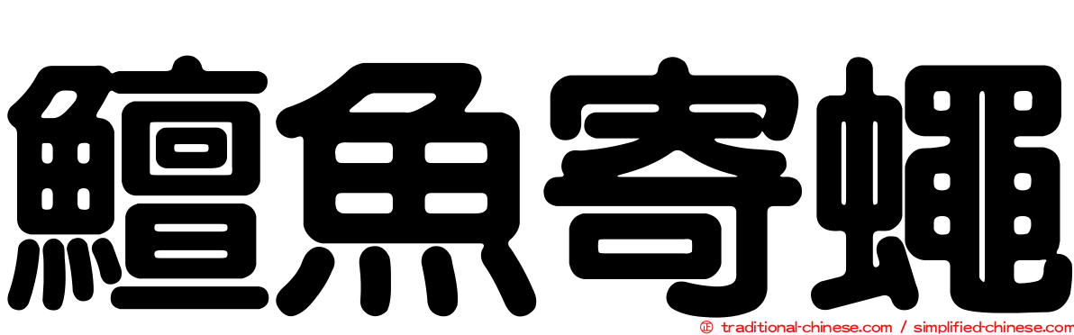 鱣魚寄蠅
