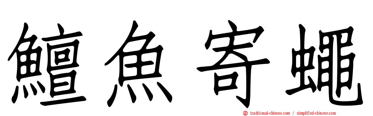 鱣魚寄蠅