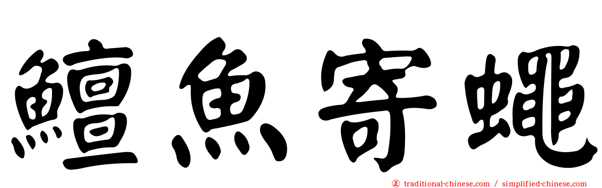 鱣魚寄蠅