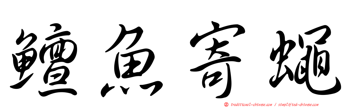鱣魚寄蠅