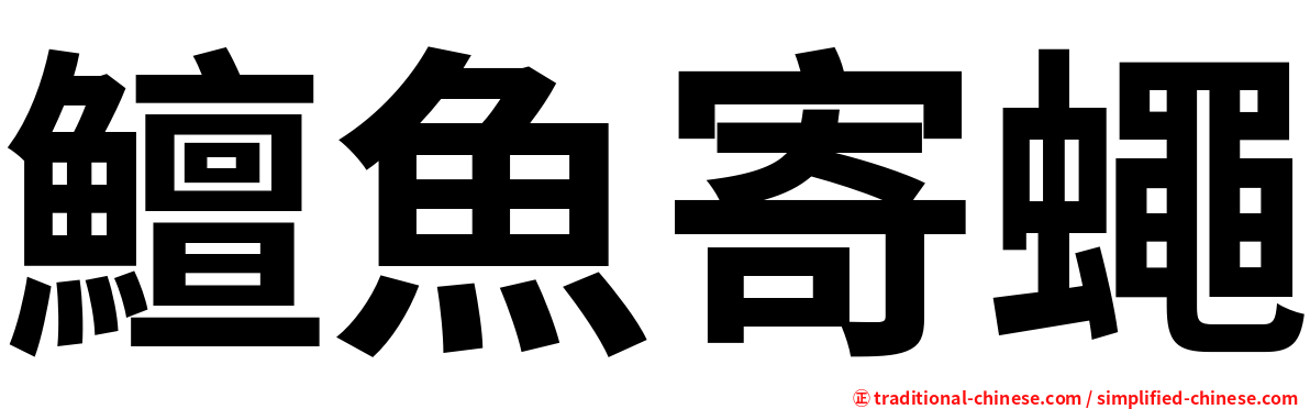 鱣魚寄蠅