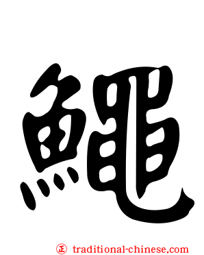 鱦