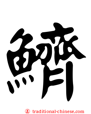 鱭